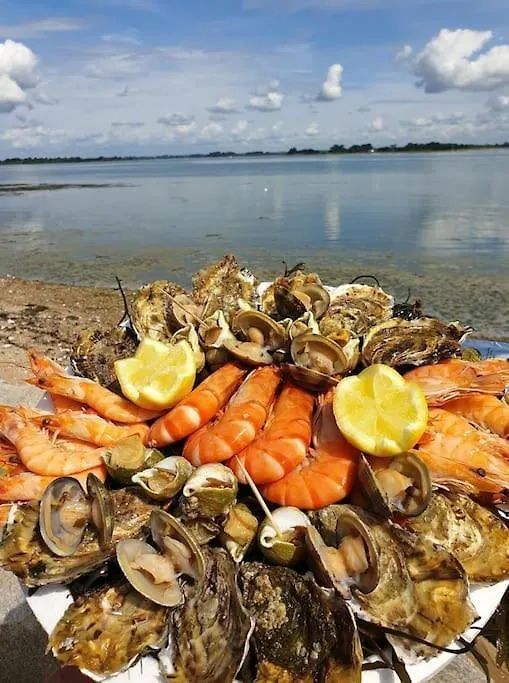 Cote Golfe - Golfe Du Morbihan Sarzeau France